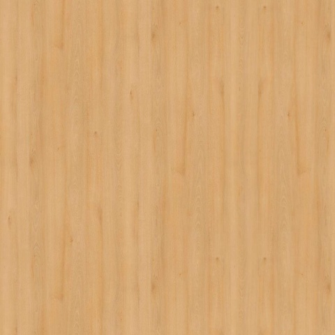 Brzoza piaskowa H1732 ST9