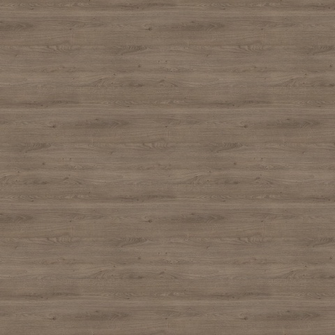 Dąb Denver truflowy H1399 ST10